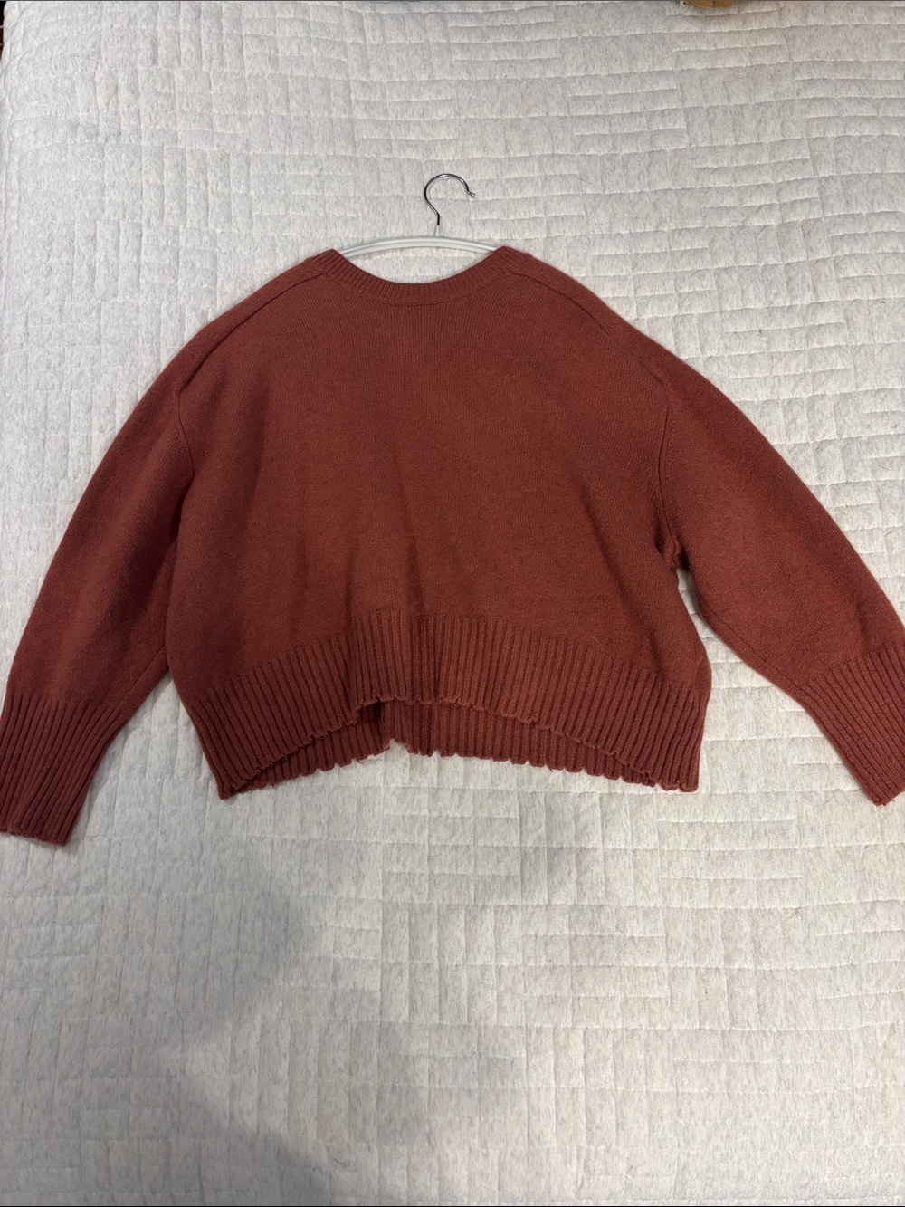 All Saints Women's Crewneck Sweater in Rust